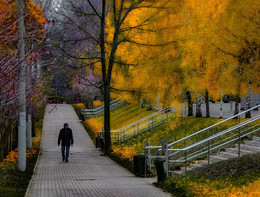 Spaziergang im Park. / ***