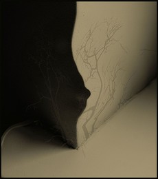 Soft Ecke / ***
