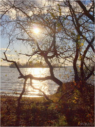 Autumn Sun / ***