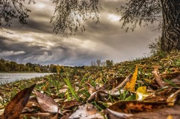 Vor dem Sturm / ***