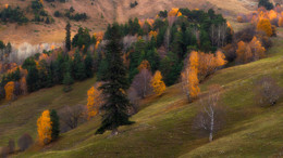 Herbst / ***