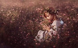 In dem rosa / ***