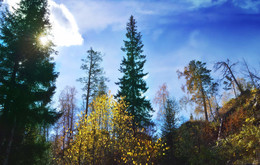 Herbst-Skizzen / ***