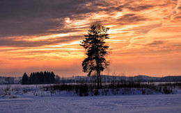 Russian north / ***