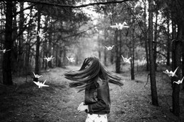 Origami / ***