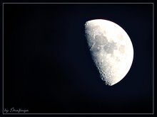 Selene / -//-//-