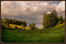 33 Kühe / ***