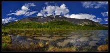 Puzzles Hibin oder Natur spielt auch Schach ... / ***
