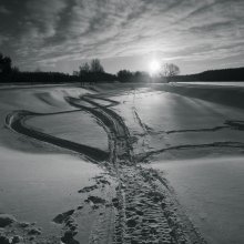morning walk / ***