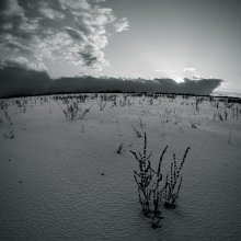 Feld ... / ***