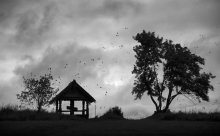 Wind / ***
