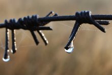 Nur regen / ***