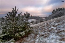 Winter und Sommer ... / ***