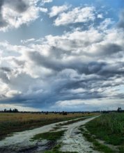Feld / ***