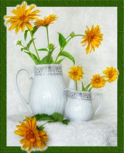 Stilleben mit roten Gänseblümchen / *****