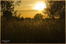 Grassy Sonnenuntergang / ***
