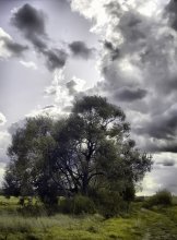 Die Schönheit der Natur / ***