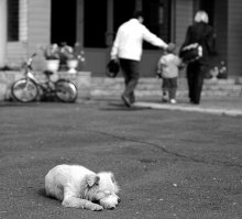 Meine Welt ... / ***