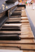 fortepiano desde Koktybel / ***