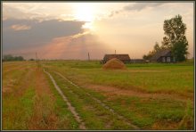 Native Freiflächen / ***
