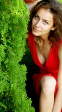 Sommer / ***