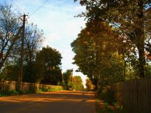 Herbst auf der Dorfstraße / ///////