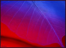 Farbe / ***