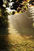 Licht / ***