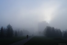 Nebligen Morgen / ***