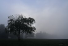 Nebel. Im japanischen Stil. / ***