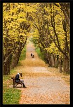 Herbst Romantik / ***