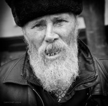 Life Zinn! ... / ***
