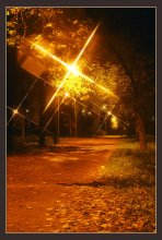 Minsky Herbst / ***