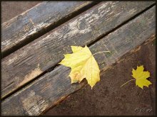 Der Sommer ist vorbei ... / ***