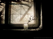NATUR : MORT / ***