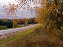 Straße zum Herbst / ***
