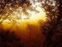 Unreal Herbst, der nur lebt in meiner Erinnerung ... / ***