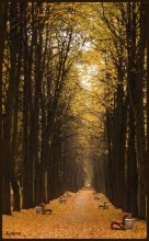 Herbst Classic / .....