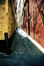 Cádiz / Street in Cádiz, Andalucia, Spain.
www.flickr.com/photos/alena_romanenko/2952087752