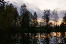 Oktober, in der Natur. / ***