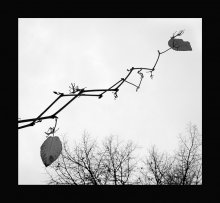 Herbst / *****