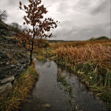 Herbst Impressionen-8 / ***