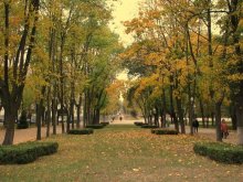 Herbst / ***