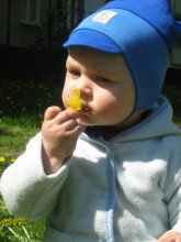 Delicious! / ***