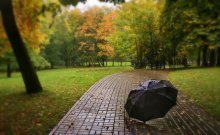 Herbstfarben / ***