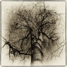 Neuronale Netzwerke / no com...