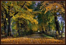 Herbst / *******