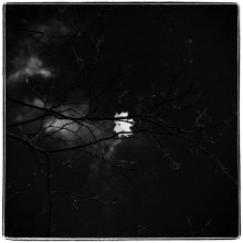 Lonely ... / ***