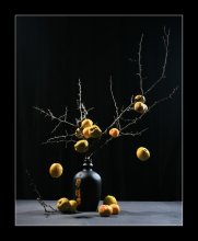 Quitte 3 / ***