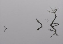 wenn der Nebel .. / ***